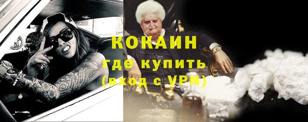 ПСИЛОЦИБИНОВЫЕ ГРИБЫ Вязники