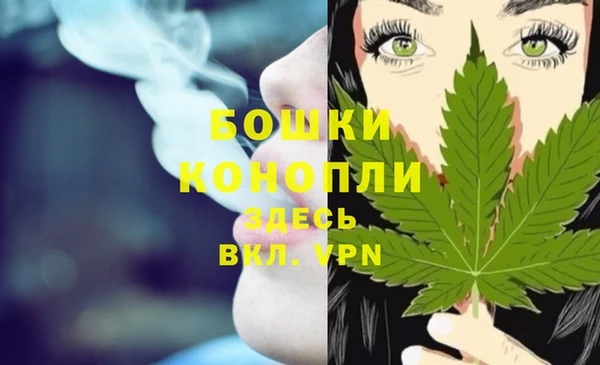 соль ск Волосово