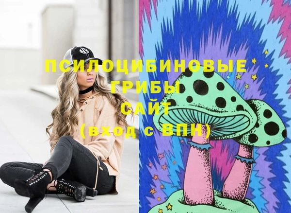 сатива Верхнеуральск